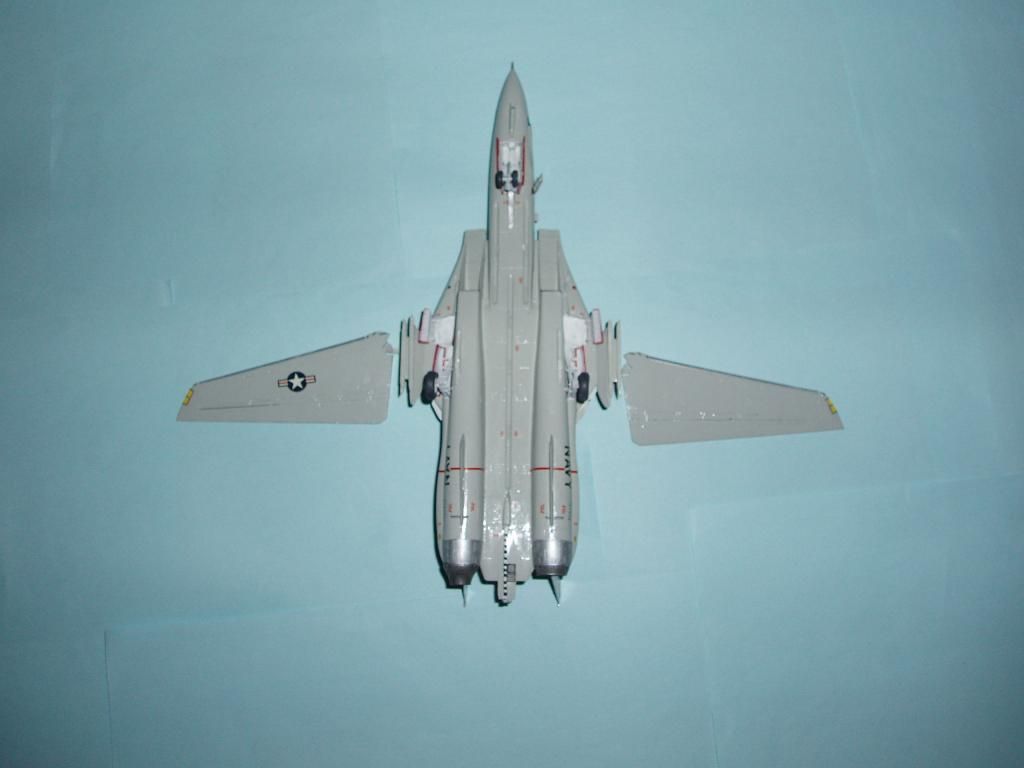 F-14ATomcat034_zpse8ea512f.jpg
