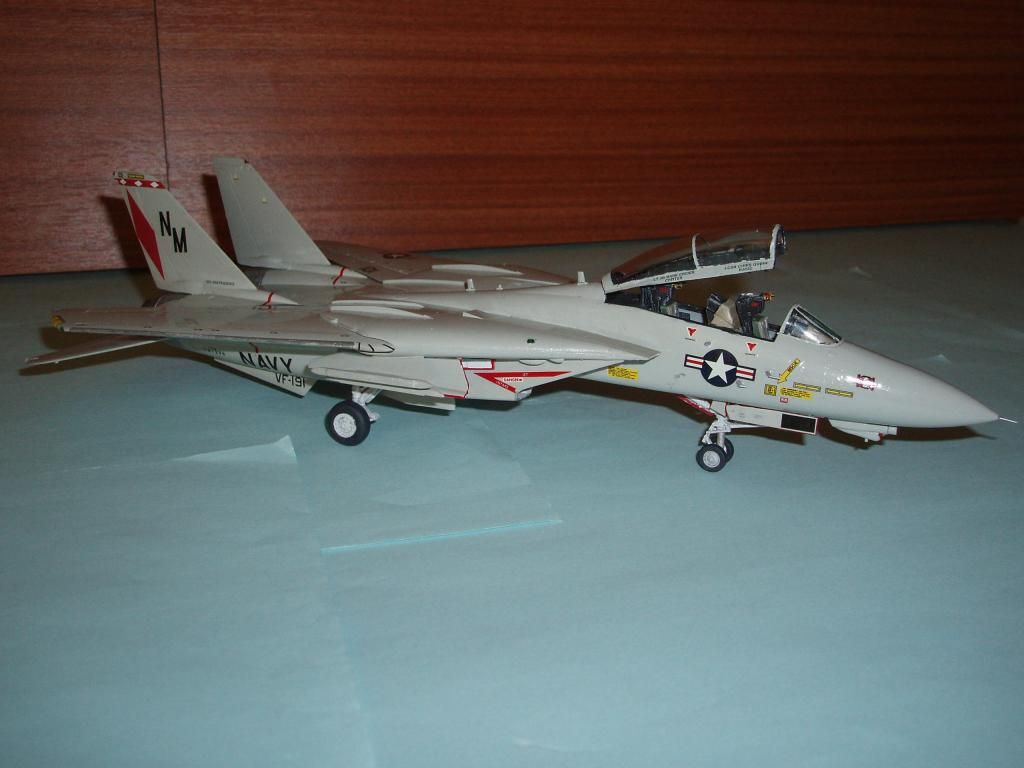 F-14ATomcat040_zpse2eba9b3.jpg