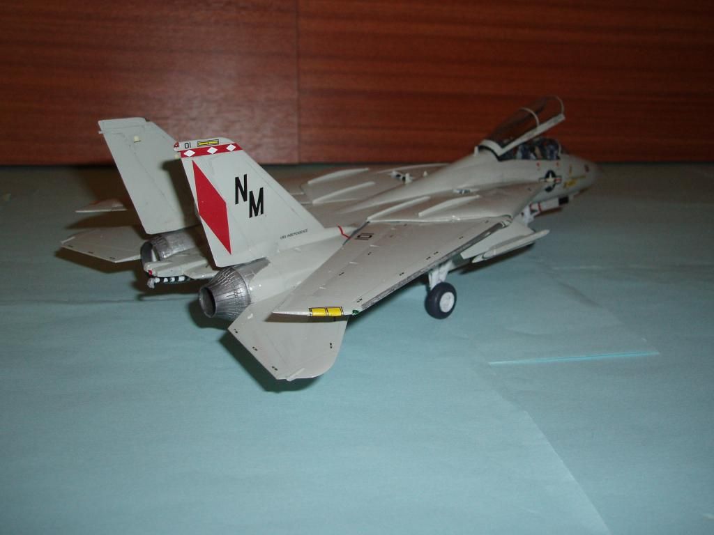 F-14ATomcat041_zps3bcd3503.jpg