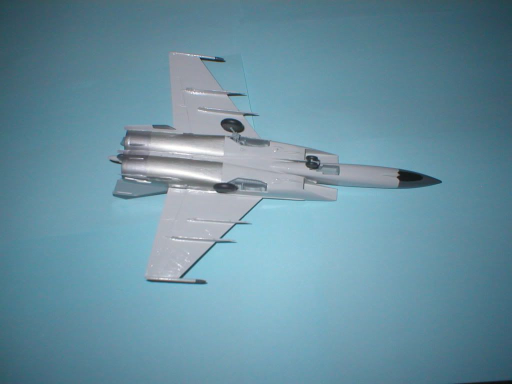MiG-25028.jpg