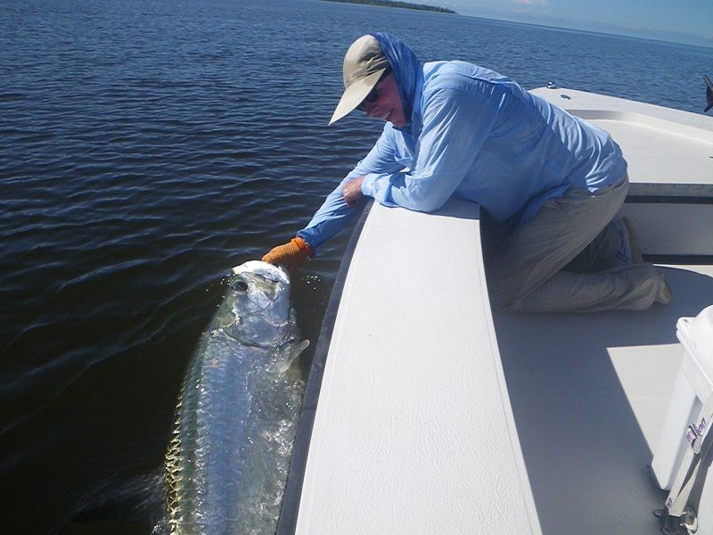 NearyAndy%20flytarpon%20success_zps3aiauwoz.jpg