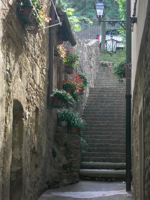Path to Volterra