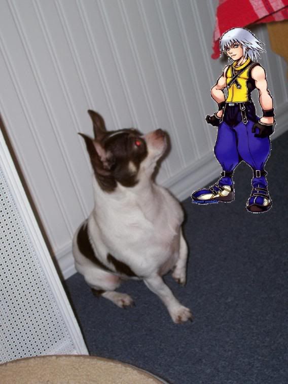 [​IMG]