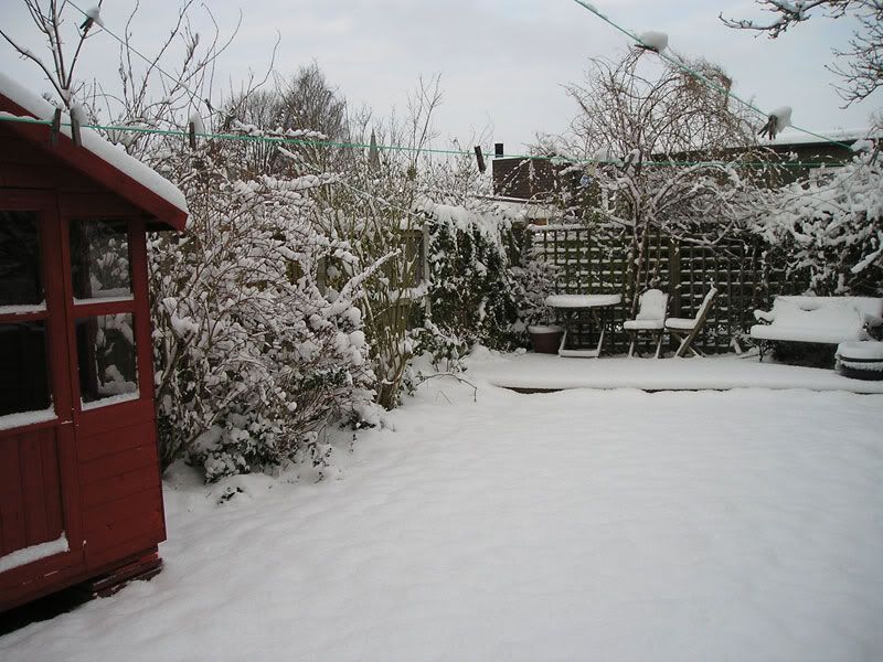 Snow3-02-02-09.jpg