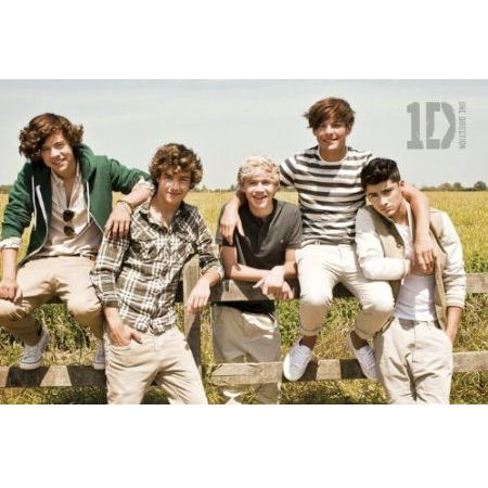  Direction Poster on One Direction Summer Poster Buy Now