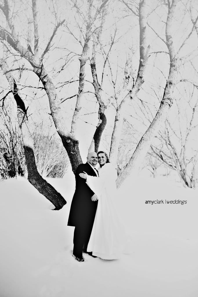 branches