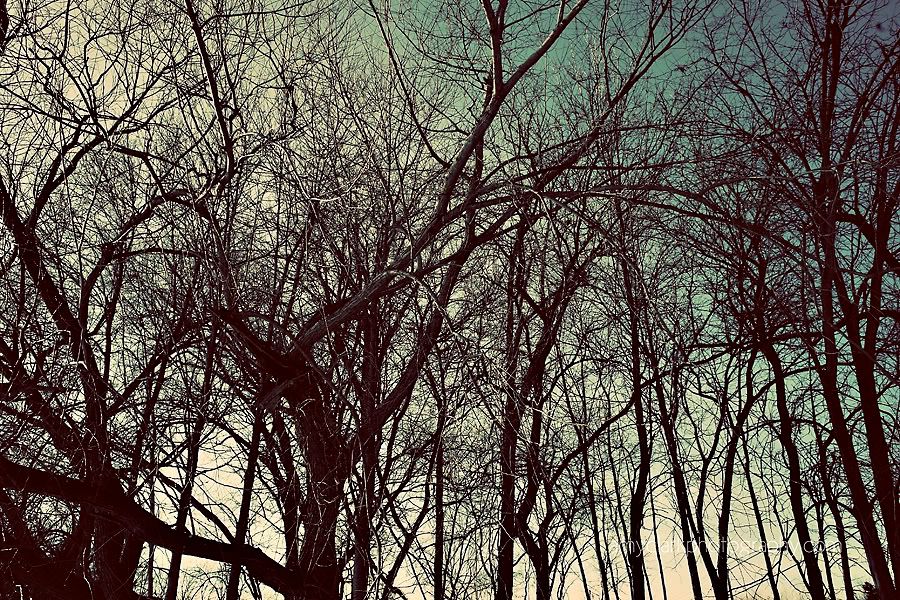 walkingonwinnebago02