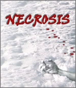Necrosis 2008 DVDSCR XviD LionsGate  ThePodsRG viper preview 0