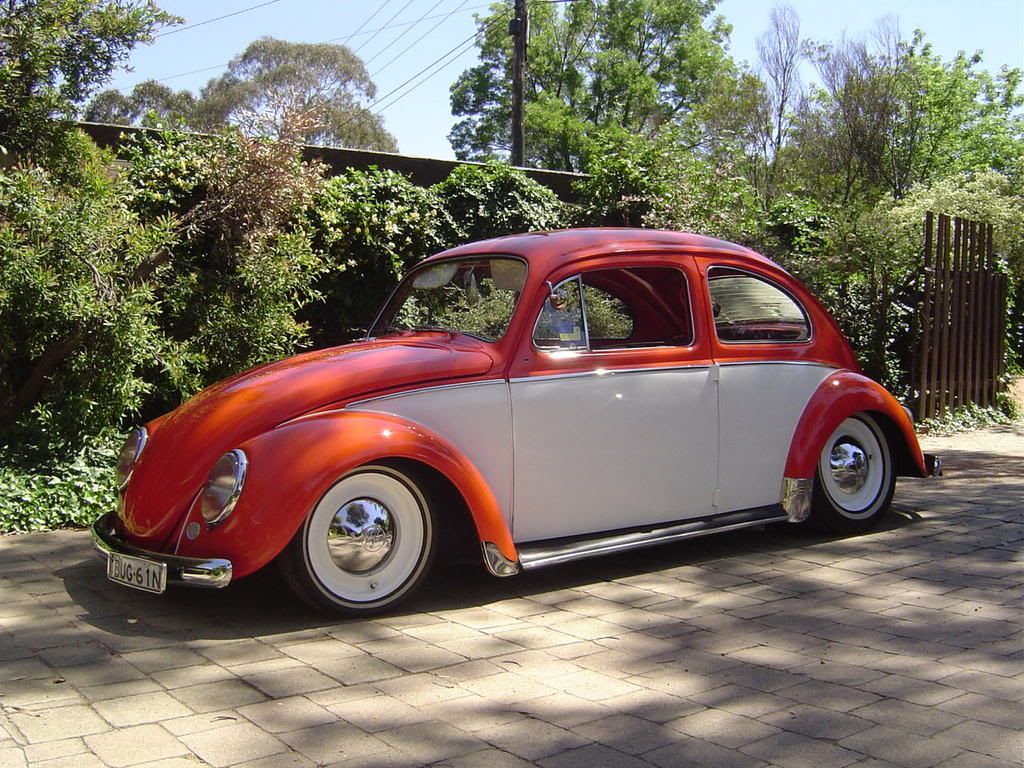 http://i235.photobucket.com/albums/ee174/timmyj_p/DSC04653.jpg http://i235.photobucket.com/albums/ee174/timmyj_p/DSC04653.jpg