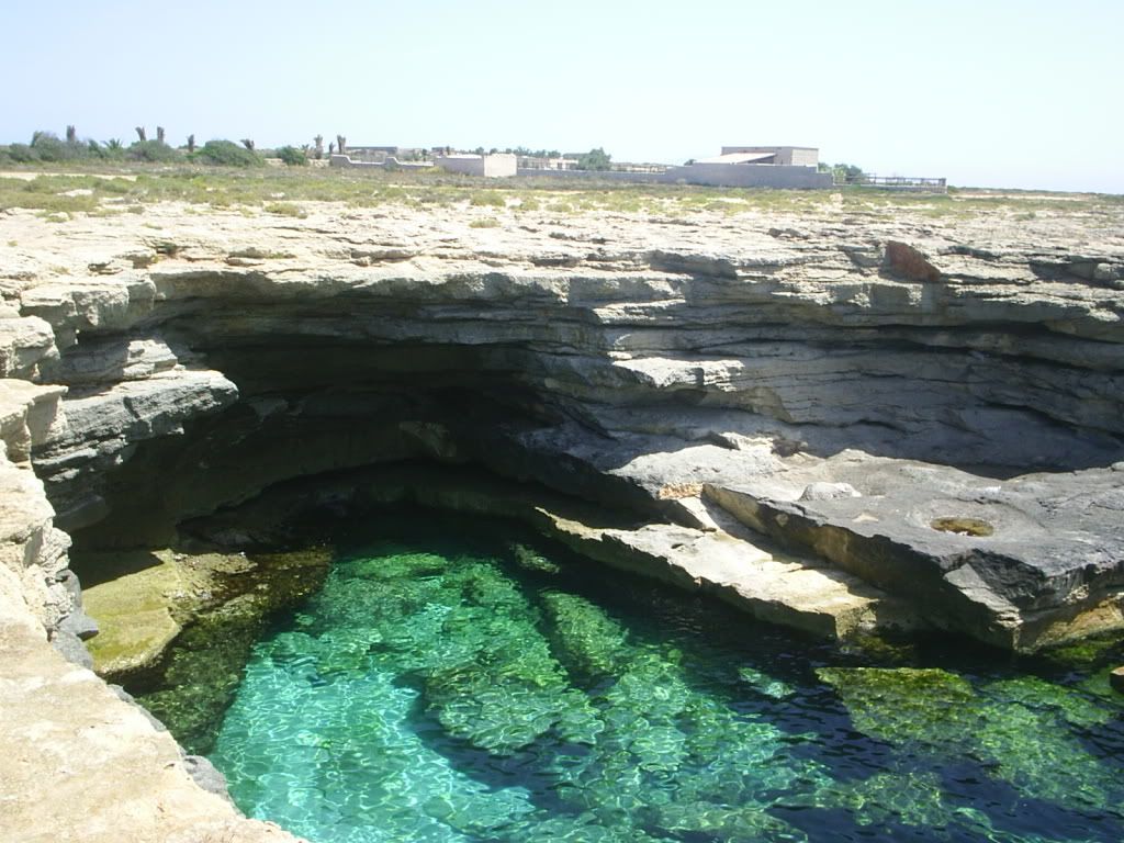 S3010053.jpg