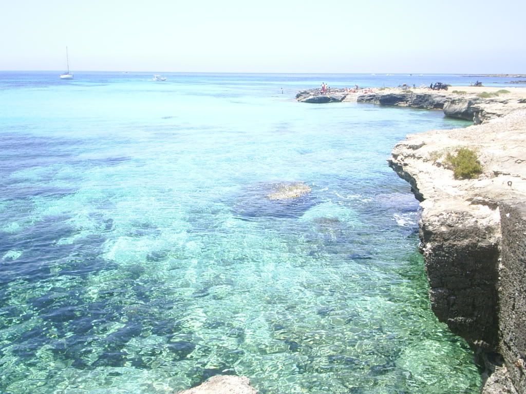 S3010056.jpg