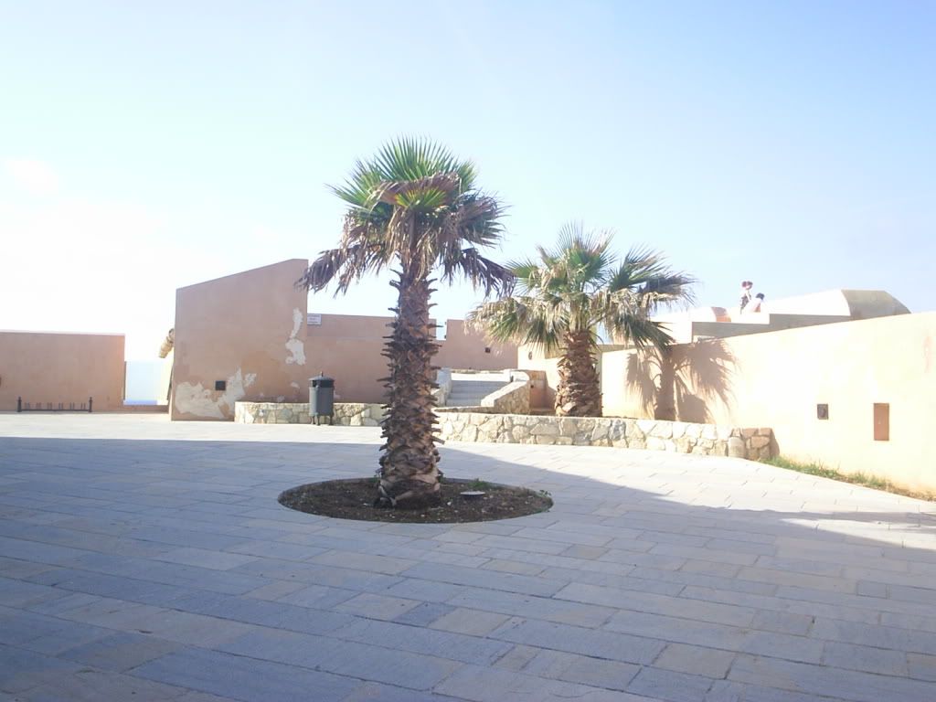 S3010076.jpg