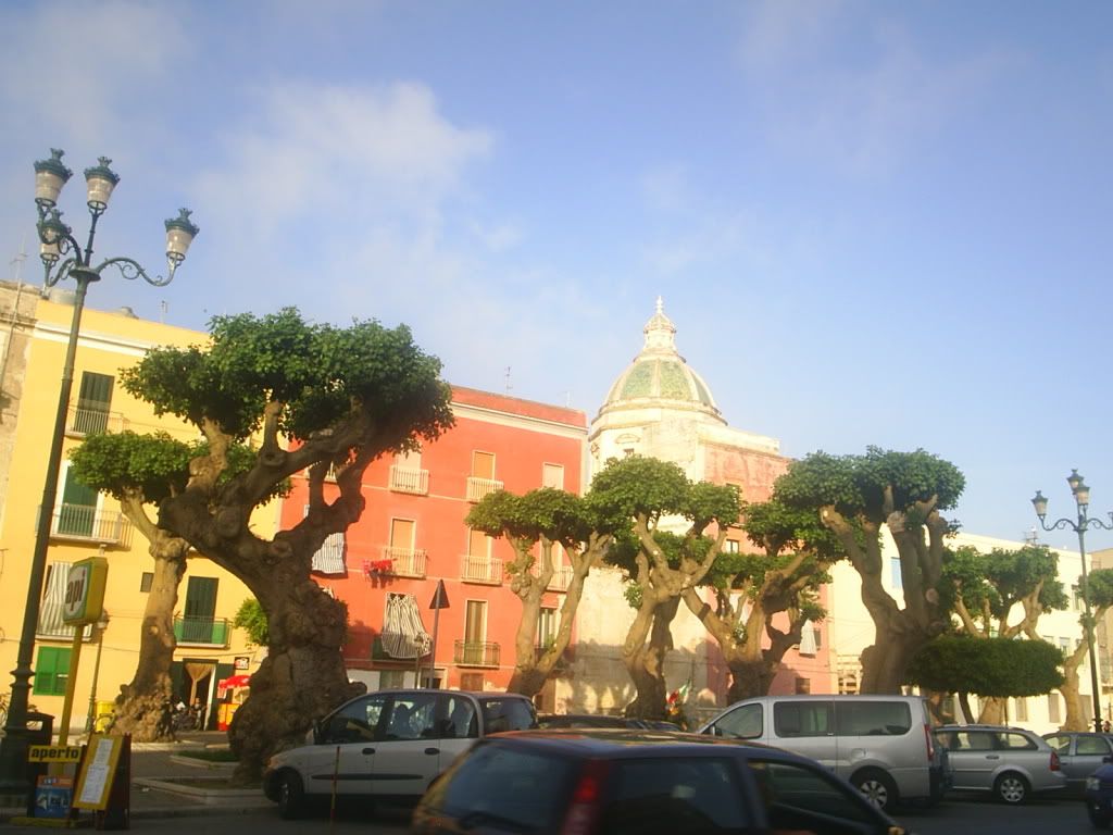 S3010100.jpg