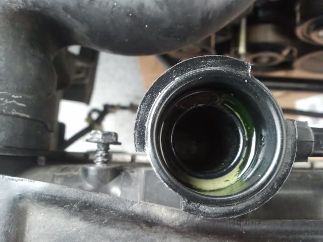 Signs Of A Blown Head Gasket >> Blown Headgasket Opinions Please G35driver Infiniti G35 G37 Signs Of A Blown Head Gasket >> Blown Headgasket Opinions Please G35driver Infiniti G35 G37