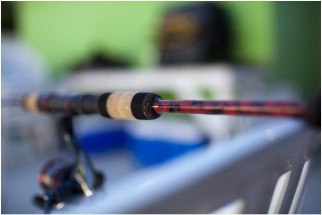 Phenix Elixir By Bb Custom Rods