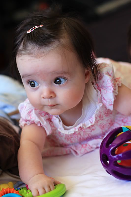 IMAGE: http://i235.photobucket.com/albums/ee188/supernicko/aaaa50.jpg