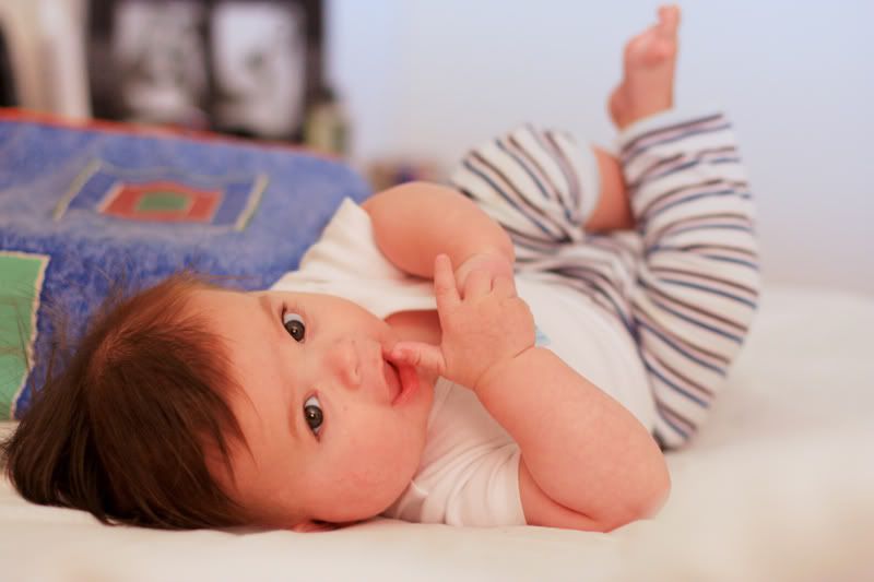 IMAGE: http://i235.photobucket.com/albums/ee188/supernicko/aaaweb.jpg