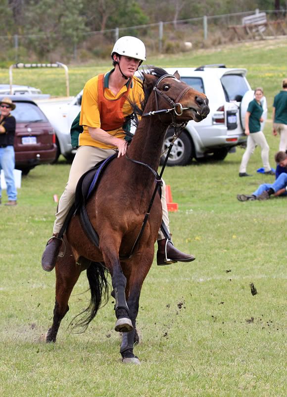 IMAGE: http://i235.photobucket.com/albums/ee188/supernicko/aadarkweb.jpg