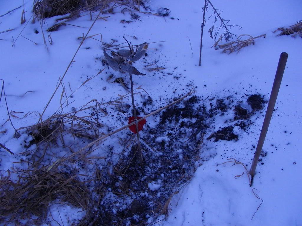 http://i235.photobucket.com/albums/ee191/FenrirVik/001-1.jpg