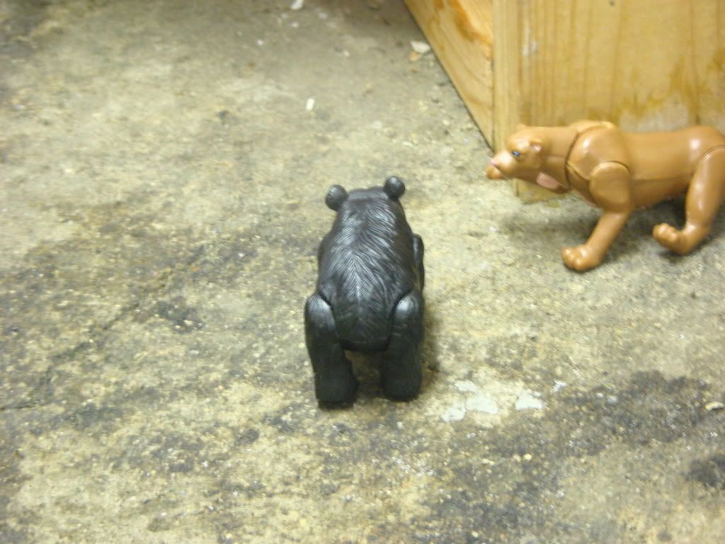 http://i235.photobucket.com/albums/ee191/FenrirVik/CarmenonCrack002-1.jpg