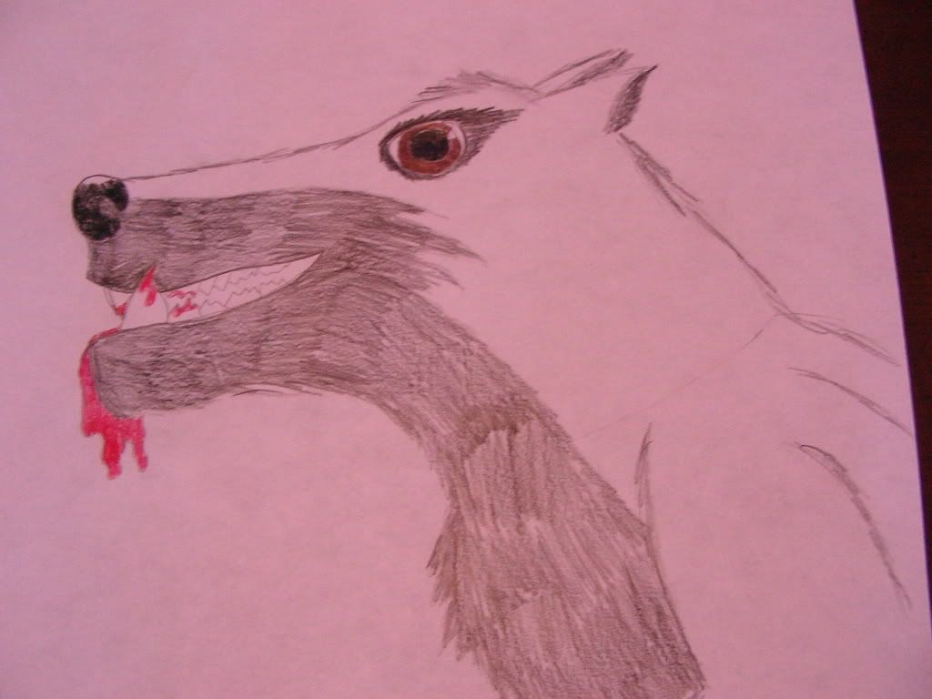 http://i235.photobucket.com/albums/ee191/FenrirVik/CarmenonCrack003-4.jpg