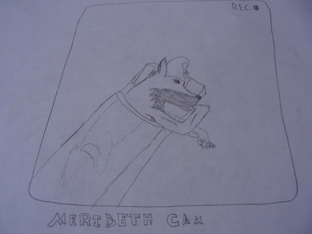 http://i235.photobucket.com/albums/ee191/FenrirVik/CarmenonCrack004-3.jpg