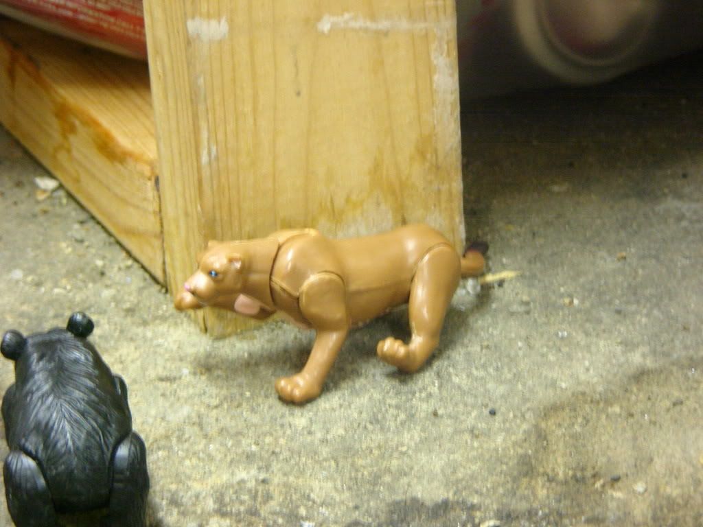 http://i235.photobucket.com/albums/ee191/FenrirVik/CarmenonCrack005-3.jpg