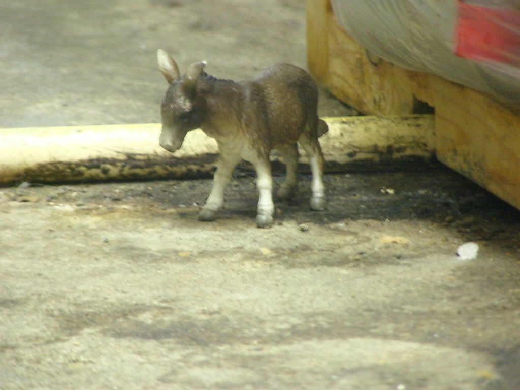 http://i235.photobucket.com/albums/ee191/FenrirVik/CarmenonCrack006-3.jpg