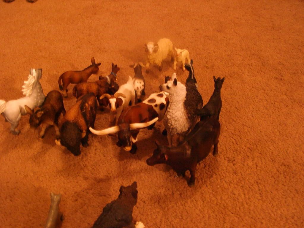 http://i235.photobucket.com/albums/ee191/FenrirVik/CarmenonCrack007-2.jpg