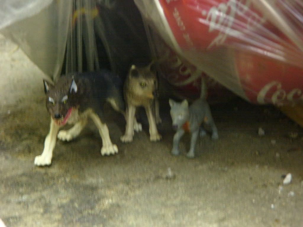http://i235.photobucket.com/albums/ee191/FenrirVik/CarmenonCrack009-1.jpg