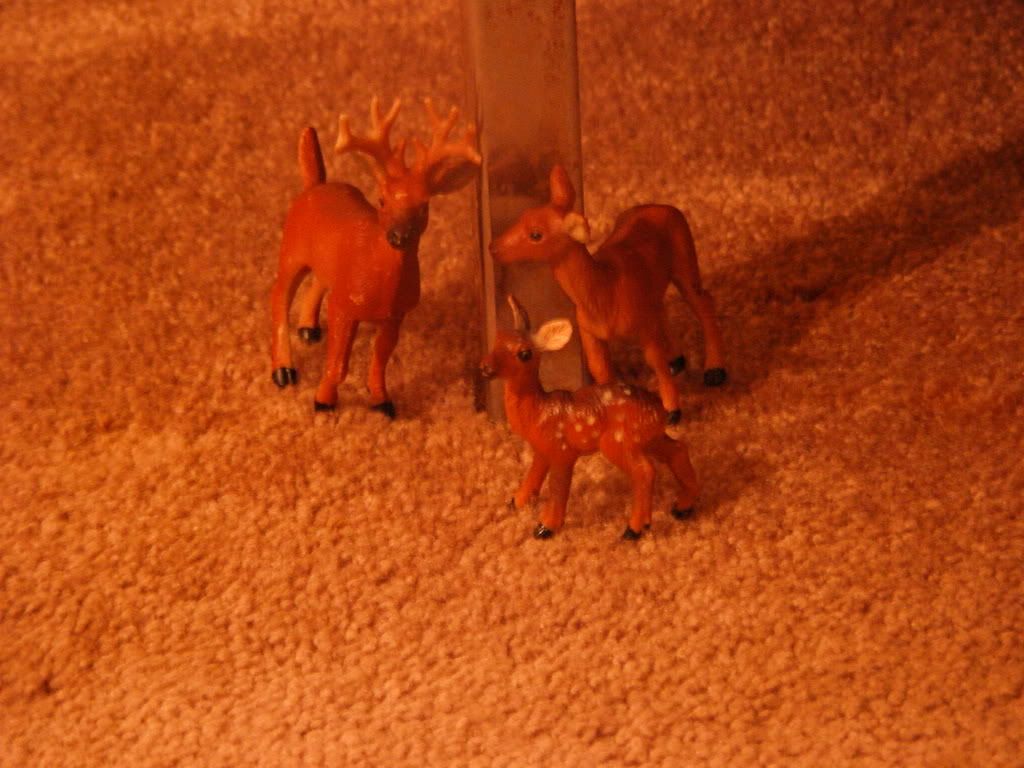 http://i235.photobucket.com/albums/ee191/FenrirVik/CarmenonCrack010-1.jpg