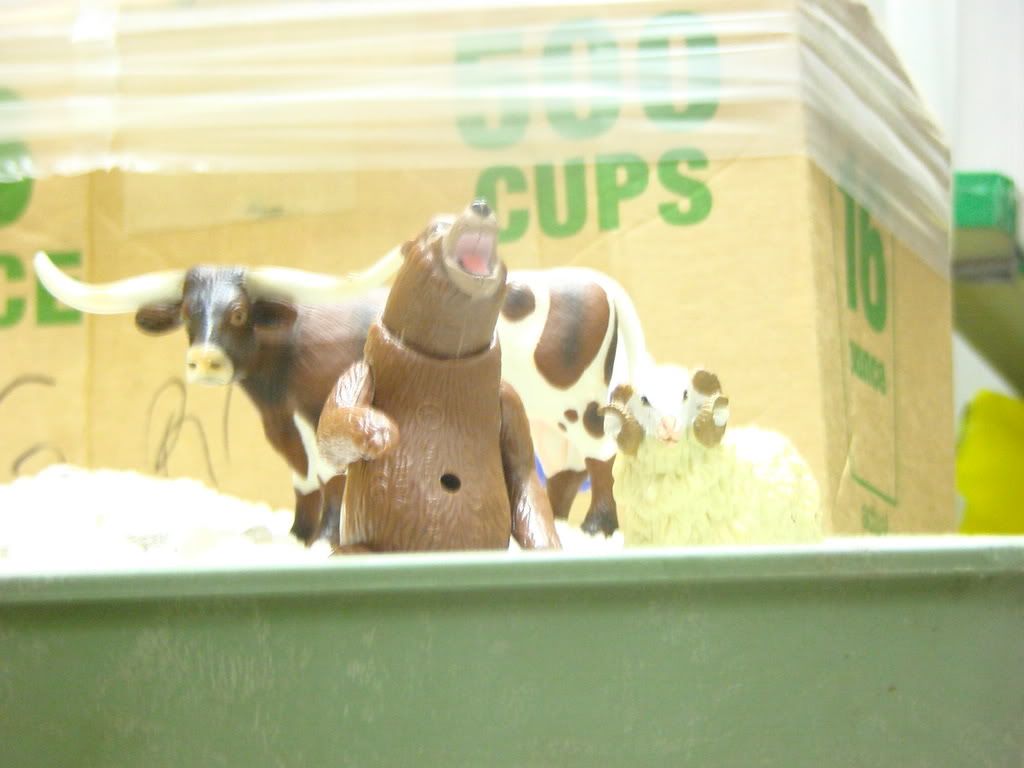 http://i235.photobucket.com/albums/ee191/FenrirVik/CarmenonCrack013-1.jpg
