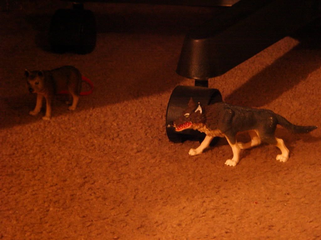 http://i235.photobucket.com/albums/ee191/FenrirVik/CarmenonCrack014.jpg