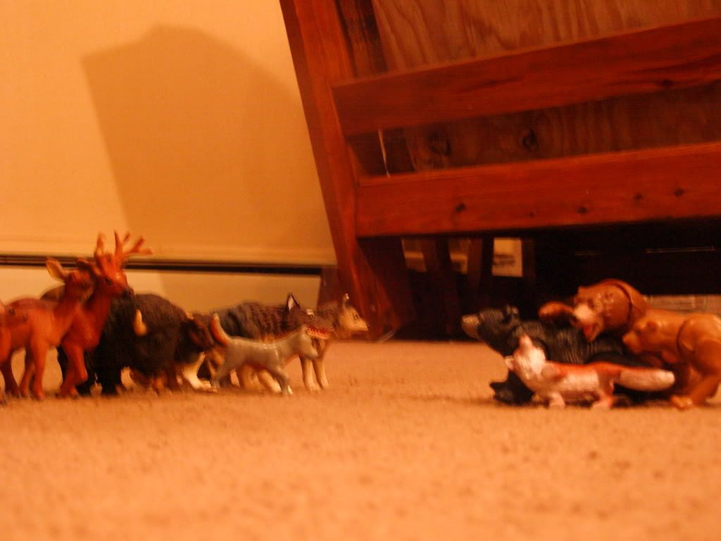 http://i235.photobucket.com/albums/ee191/FenrirVik/CarmenonCrack016.jpg