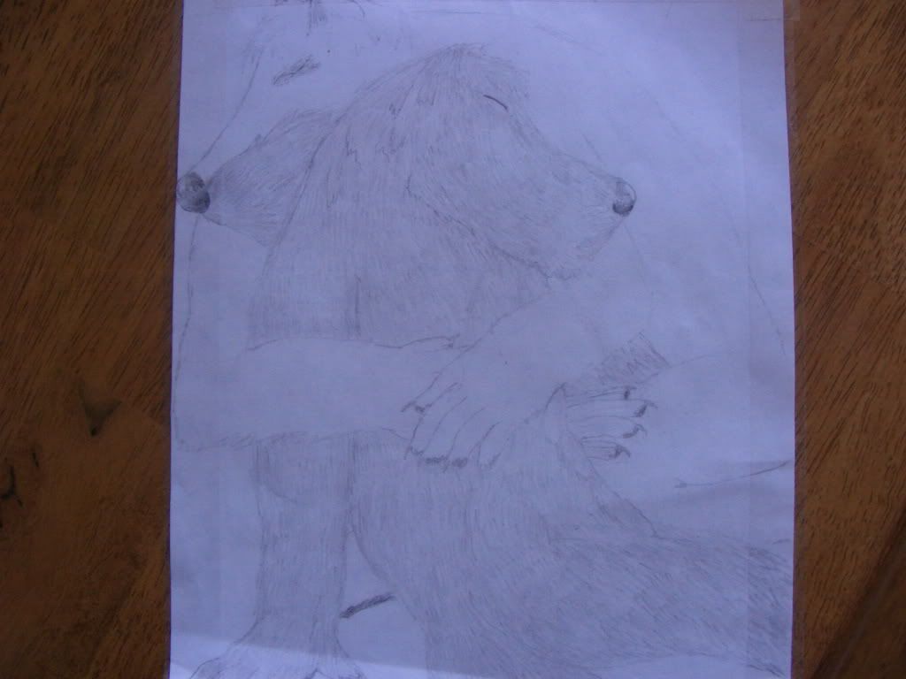 http://i235.photobucket.com/albums/ee191/FenrirVik/CarmenonCrack037.jpg