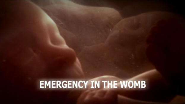Cutting Edge   Emergency In The Womb (21st May 2009) [PDTV (Xvid)] preview 1