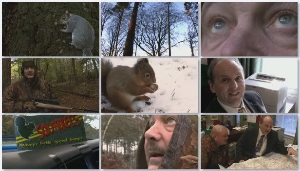 First Cut   Squirrel Wars: Red vs Grey (6th February 2009) [PDTV (Xvid)] preview 1