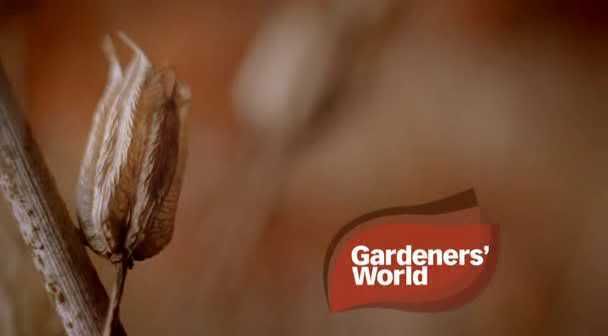 Gardener's World   s41e22 (12th September 2008) [PDTV (Xvid)] preview 0