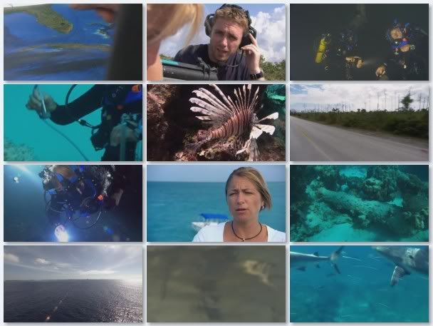 Oceans   s01e04   Atlantic Ocean (27th November 2008) [PDTV (Xvid)] preview 1