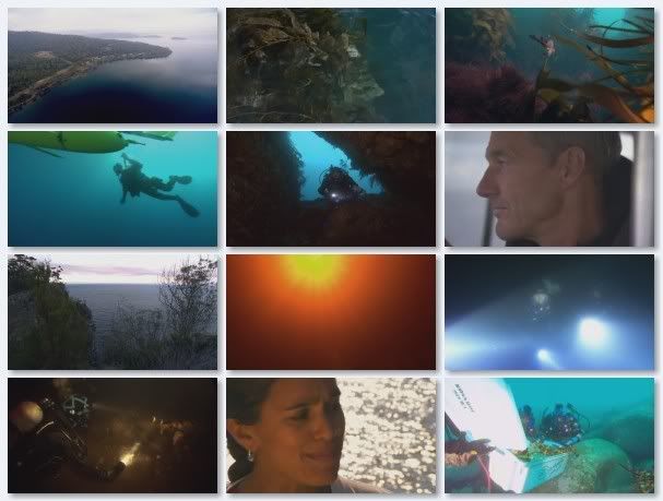 Oceans   s01e02   Southern Ocean (19th November 2008) [PDTV (Xvid)] preview 1