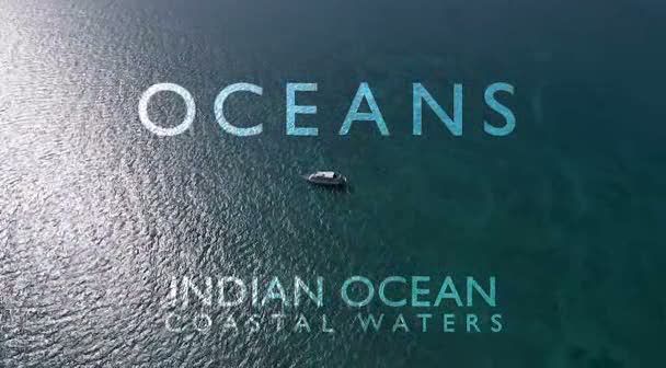 Oceans   s01e06   Indian Ocean Coastal Waters (4th December 2008) [PDTV (Xvid)] preview 0