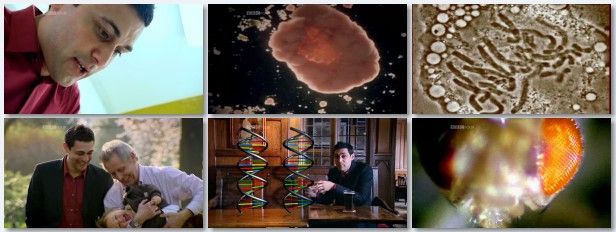 The Cell   s01e02   The Chemistry of Life (19th August 2009) [PDTV (Xvid)] preview 1