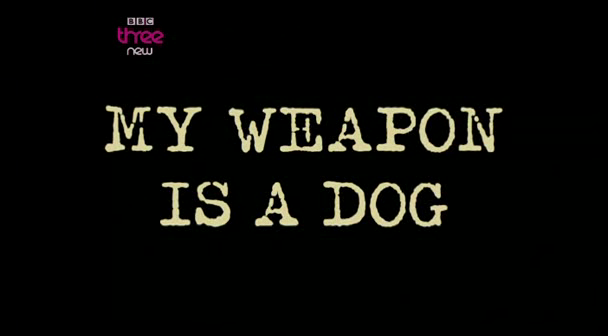 My Weapon Is A Dog (21st May 2009) [PDTV (Xvid)] preview 1