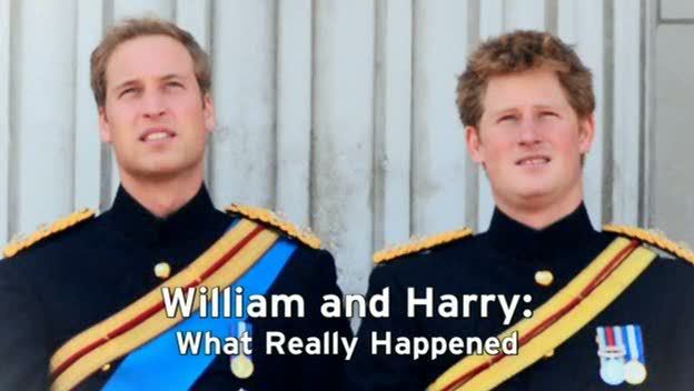 What Really Happened   s02e03   William and Harry (26th January 2009) [PDTV (Xvid)] preview 0