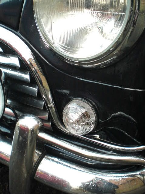 CIMG0967.jpg