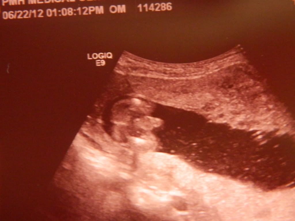 DSCN5346.jpg