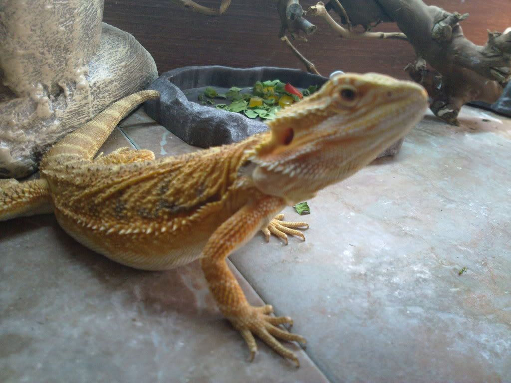 22062011030.jpg