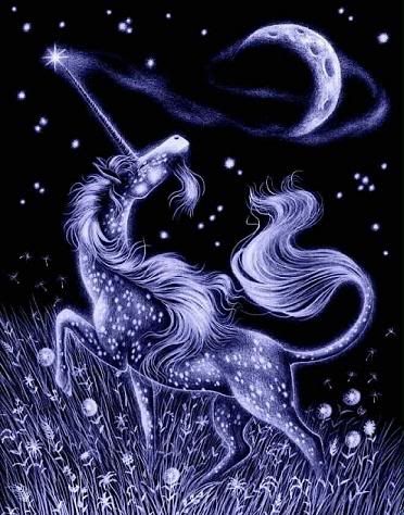 Unicorn einhorn fantasy