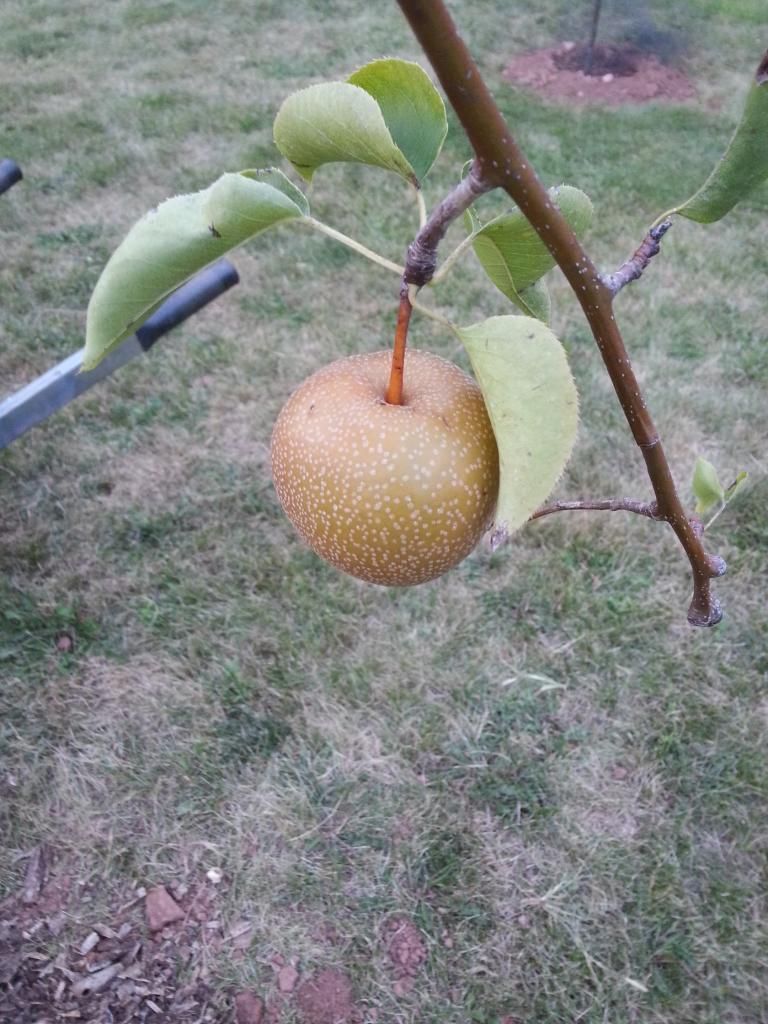  photo 20140820_193146.jpg