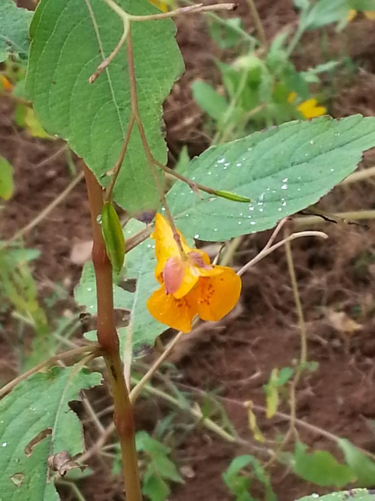  photo 20140823_120357.jpg